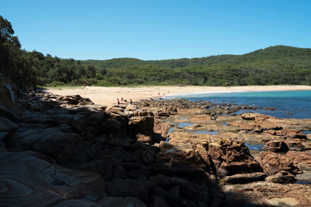 best quiet beach for swimming near Sydney CBD