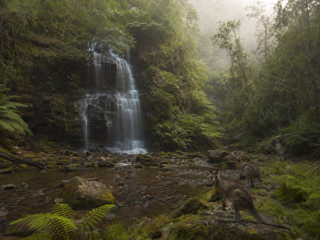 Kedumba River Falls Blue Mountains hidden waterfall near Sydney