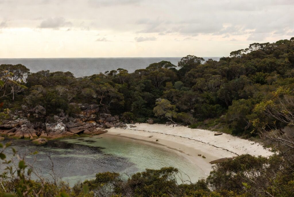 Milk Beach Vaucluse Sydney hidden harbour beach