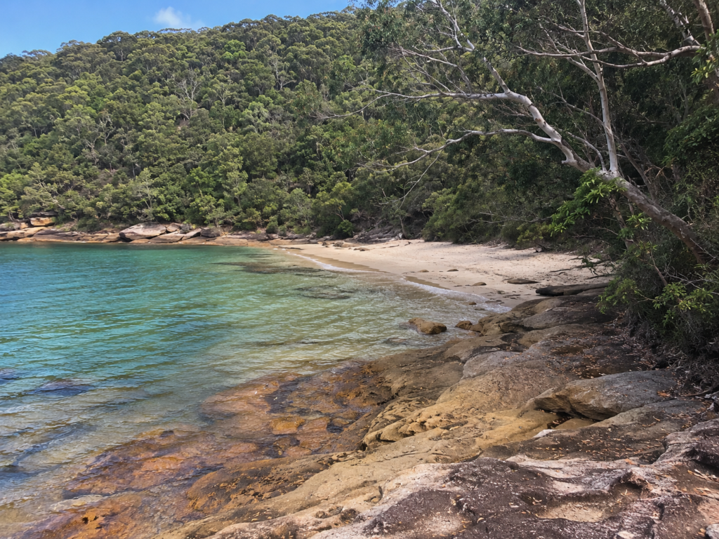 Reef Beach Manly national park quiet beach