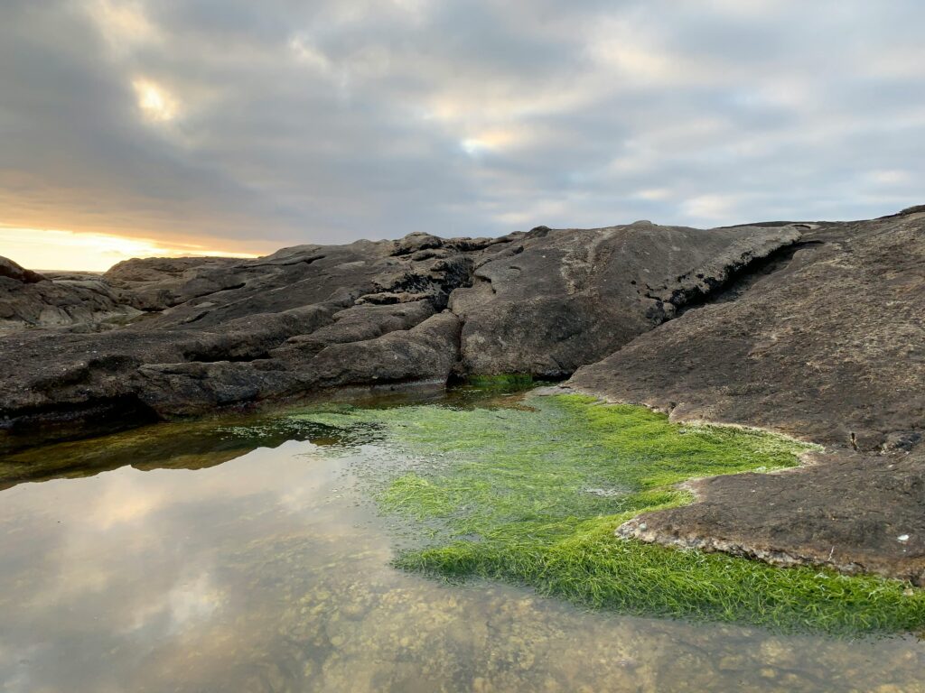 Salmon Haul Bay sandstone rock platforms Cronulla Sydney at low tide