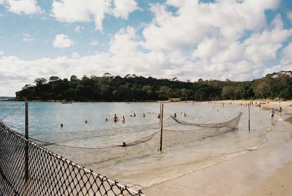 Shark Beach Nielson Park Sydney harbour swimming