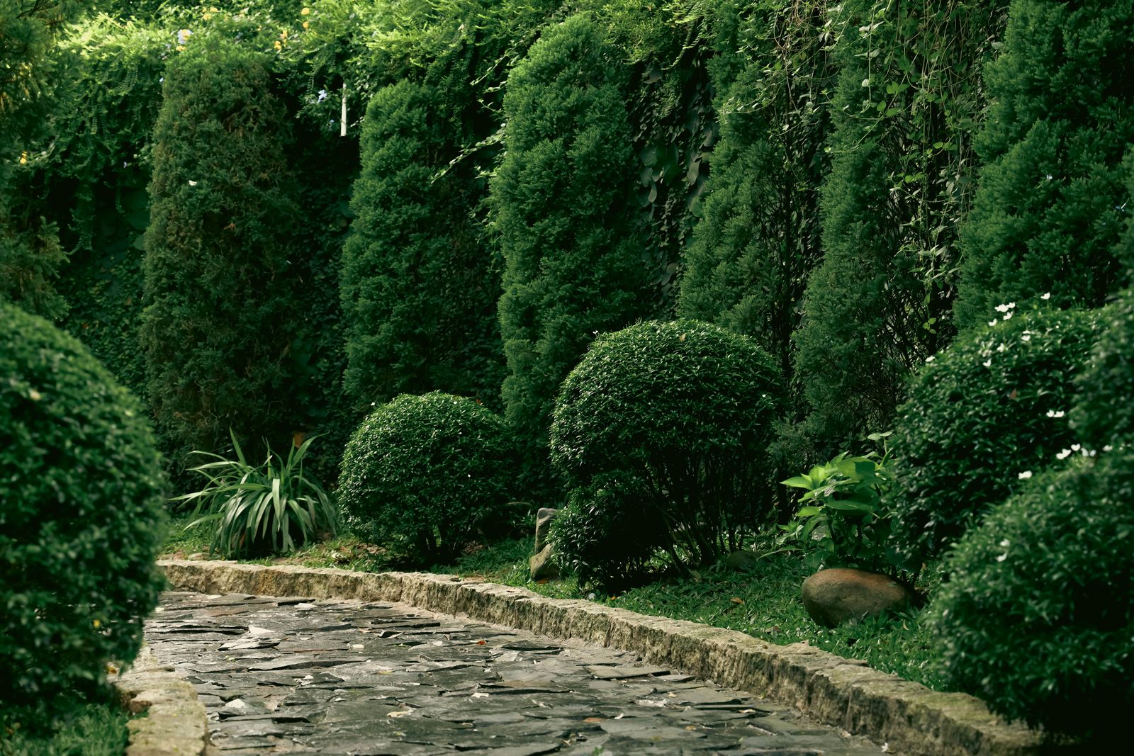 Lush green hidden garden pathway with topiary trees, representing Sydney secret gardens