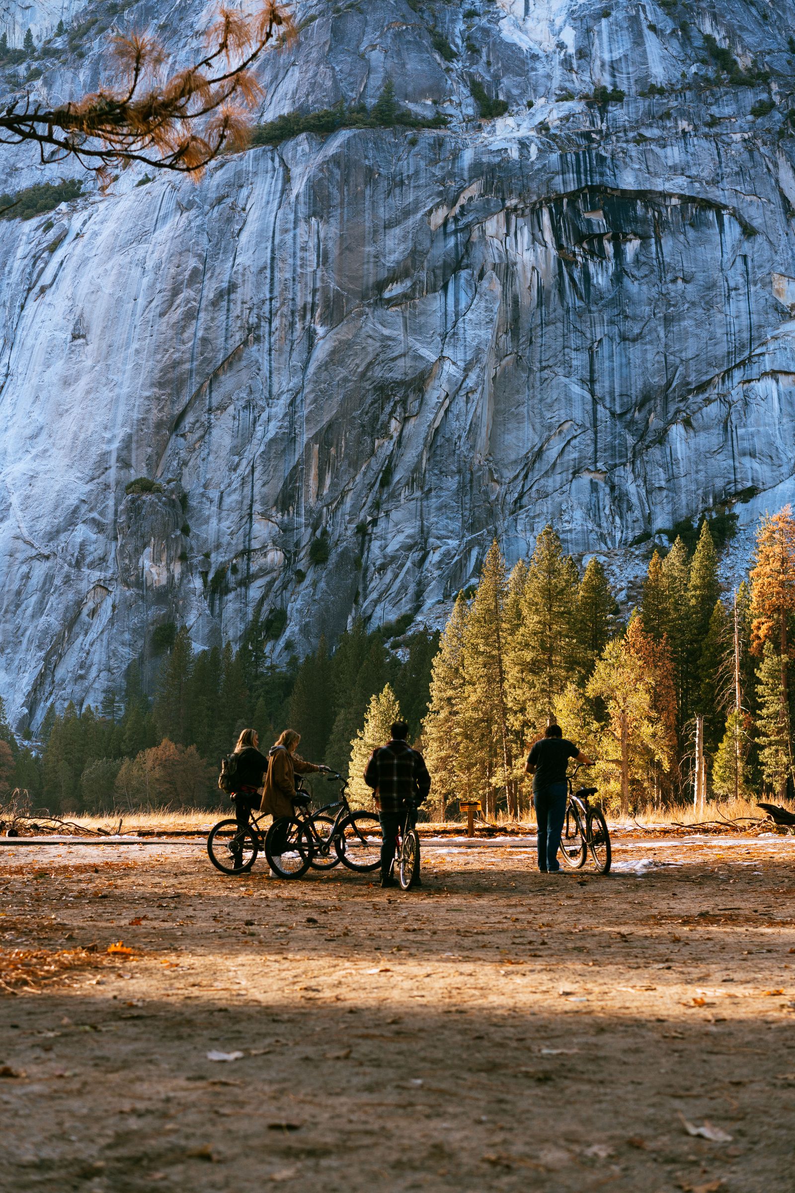 Group of friends riding bikes together through a city street