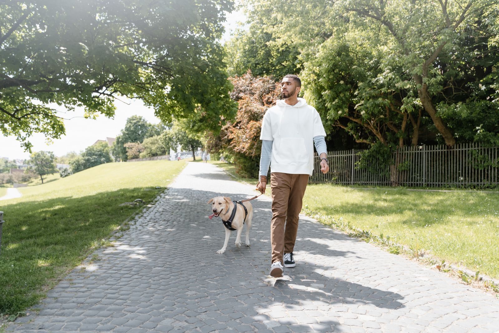 Man walking a dog in a park