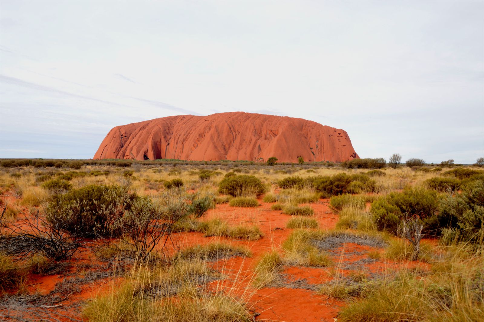Australian outback landscape, the terrain Ludwig Leichhardt explored