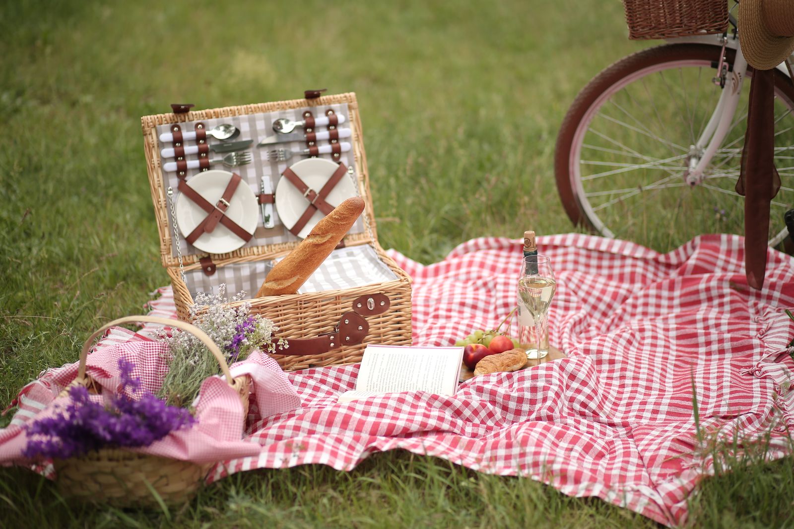 Picnic set up on green grass in a park