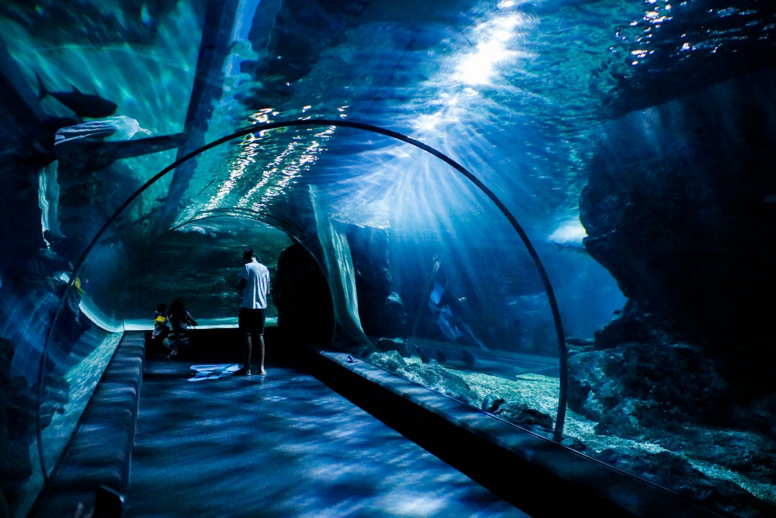 Visitors exploring an underwater tunnel in an aquarium
