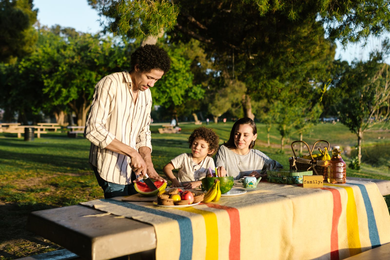Family picnic in a sunny park
