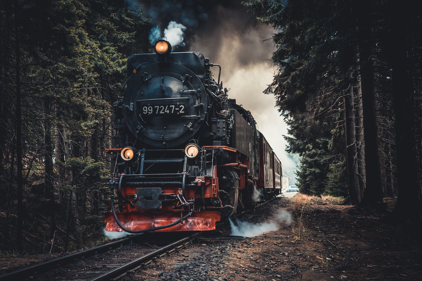 Scenic train journey through forest