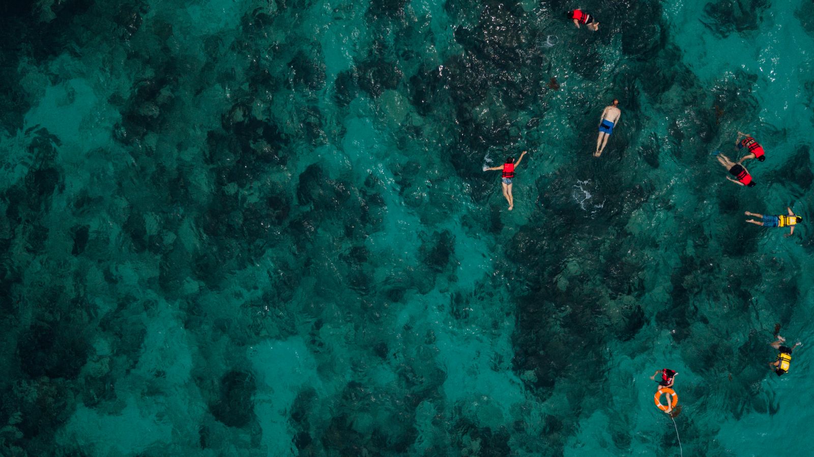 People snorkeling over a coral reef