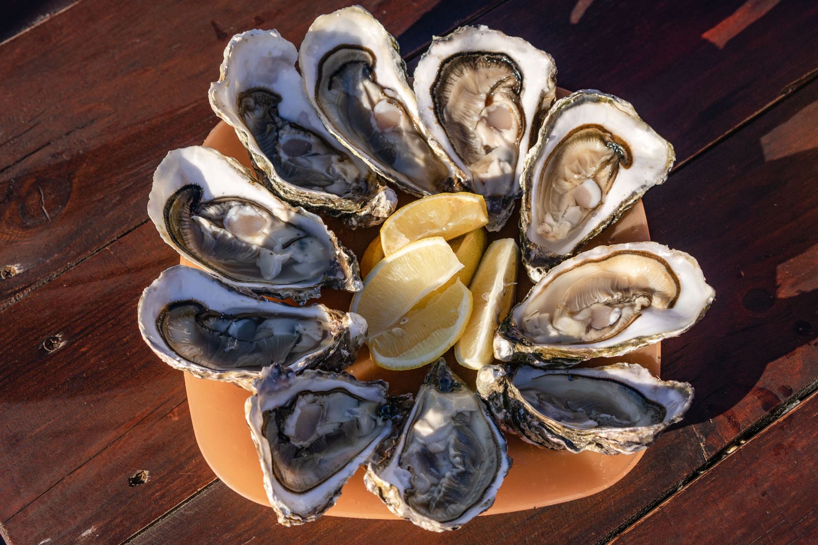 Fresh oysters served with lemon slices on a wooden table