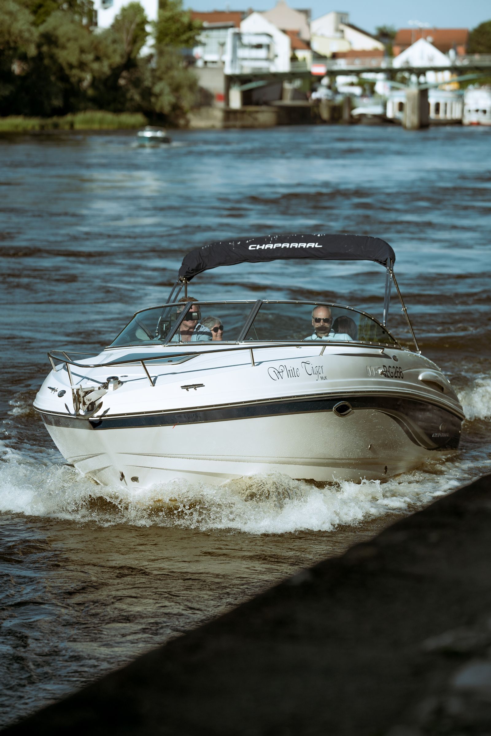 People on a speedboat cruising along the water