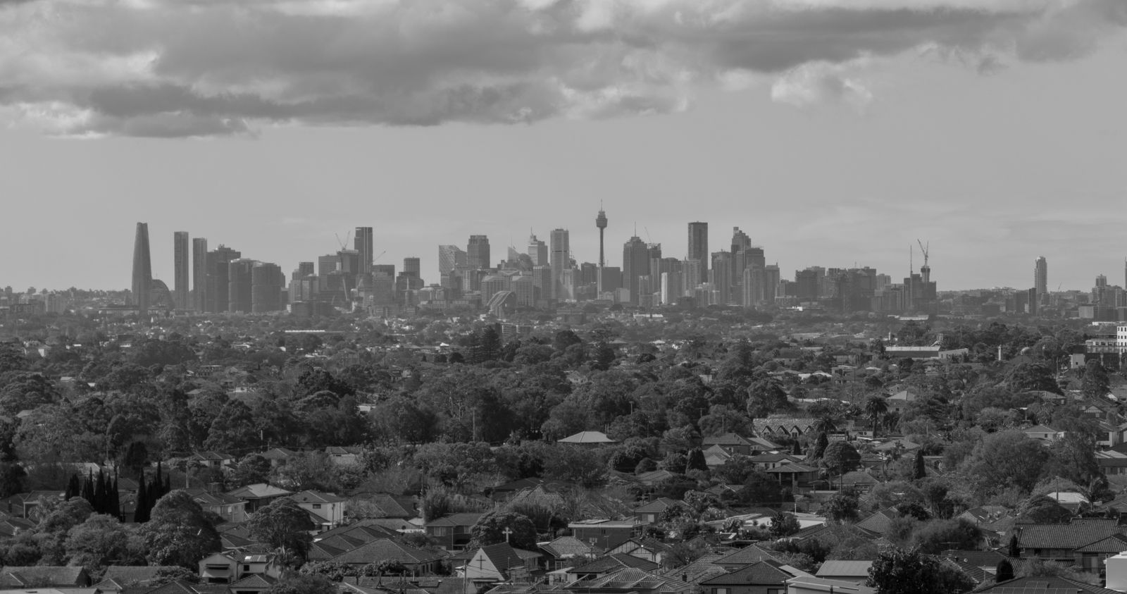 Black and white skyline of Sydney showing the CBD and Sydney Tower